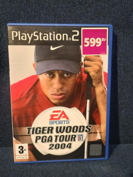 Tiger Woods PGA Tour 2004