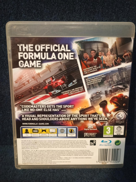 F1 2010 F1 2010